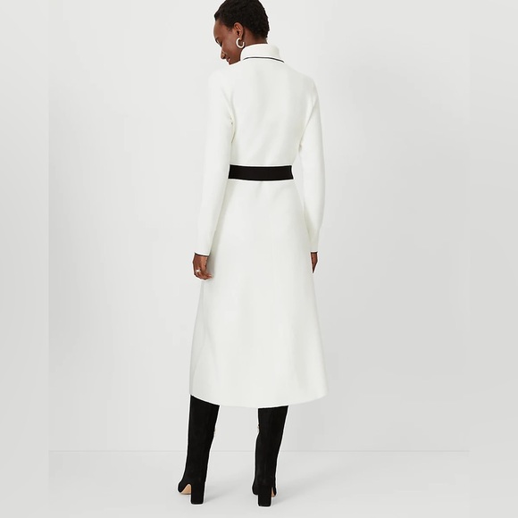 Tipped Belted Turtleneck Sweater Dress - Picture 2 of 4